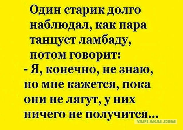 130 картинок для поднятия настроения!