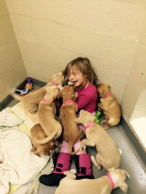 Волонтер привел свою дочь покормить щенят в собачий приют...