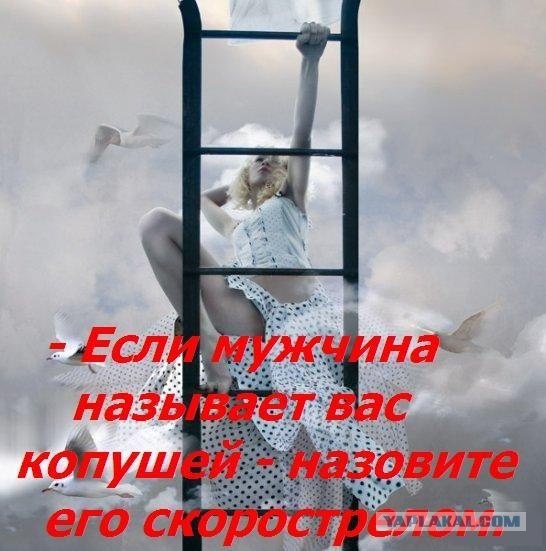 Вредные советы женщинам или СЖМ