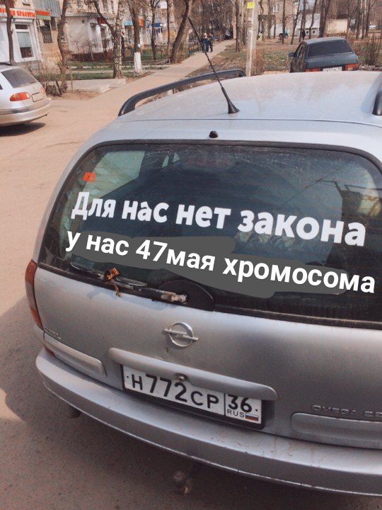 Подборка интересных и веселых картинок