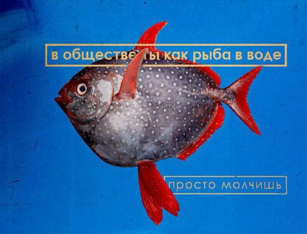 Нестандартный юмор
