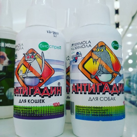 Маразмы отечественного маркетинга