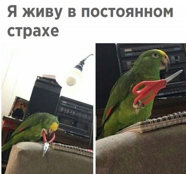 Нестандартный юмор