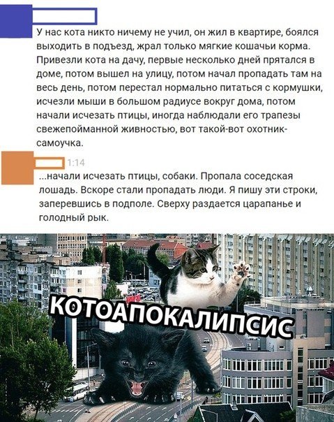Еще немного картинок разных из интернета