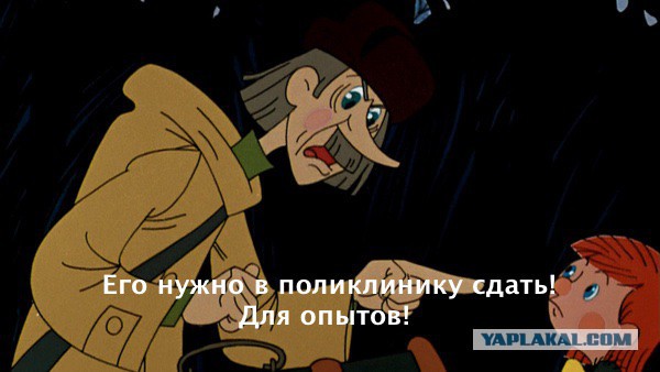 Герман Греф: "Отдавать родителей в Дома престарелых скоро станет престижно"