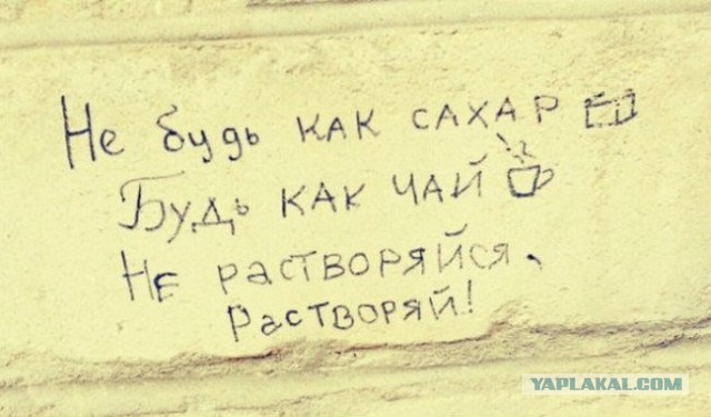 «Бродячие» философы: 17 глубокомысленных заметок в транспорте и на улицах
