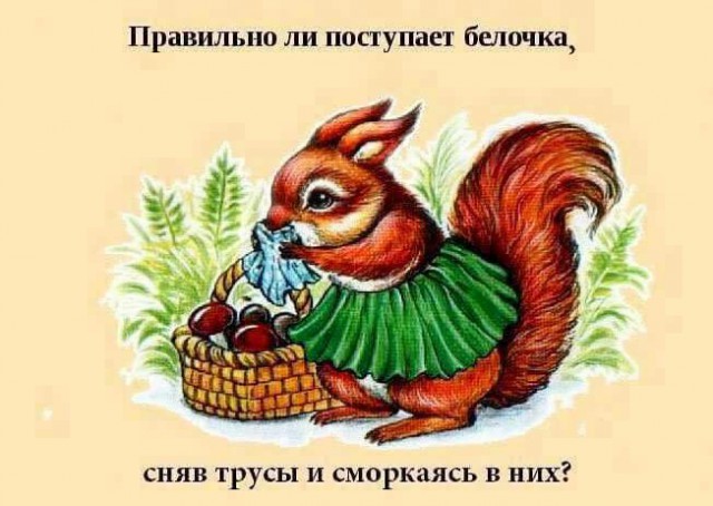 Пикчевая ерунда