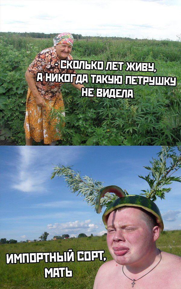 Комментарии, картинки всякие