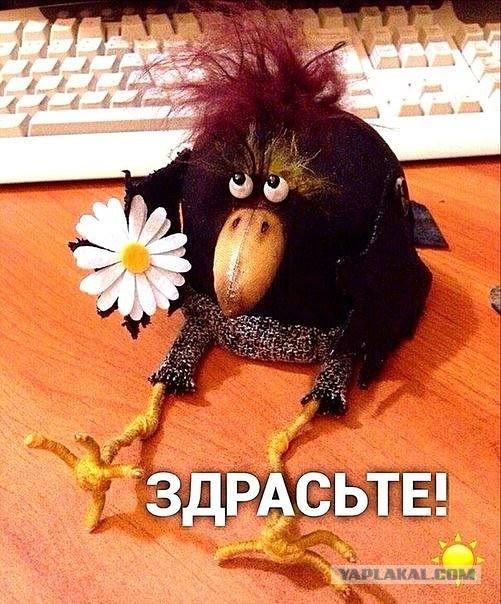 Фентезийная кухня Ведьмак 3  Рецепт паштета из зайчатины