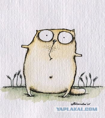 Как познакомиться с девушкой?