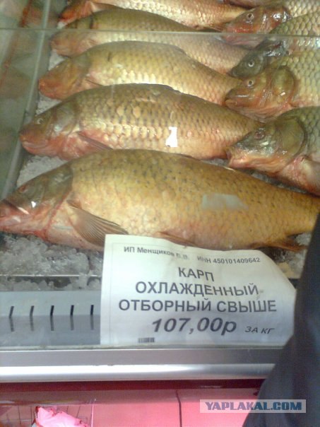 Казусы моего города. Часть первая