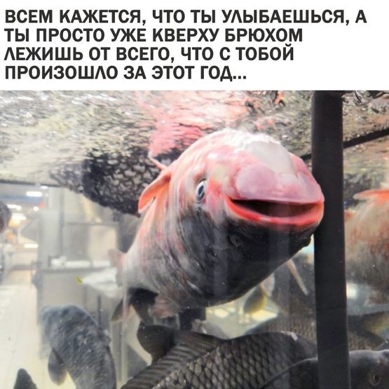 Подведём игоги