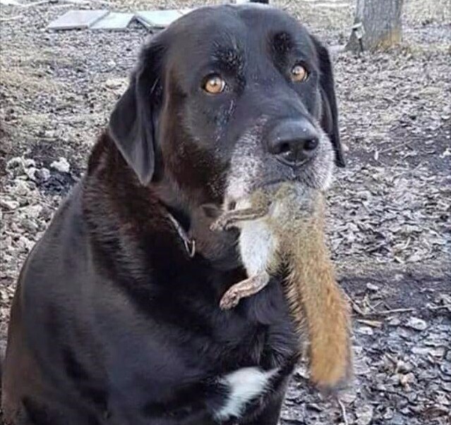 А давай забьём, что по итогу я от тебя всё же убегу
