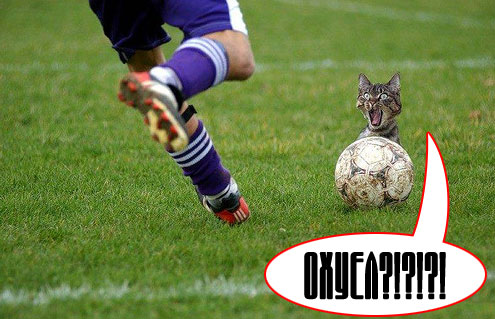 Фотожаба: Граждане!