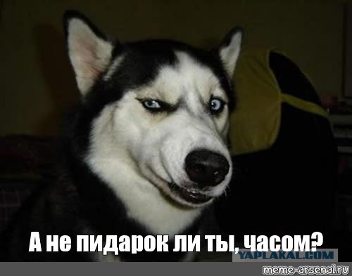 Боевая пенсионерка из Москвы объявила войну соседям-геям