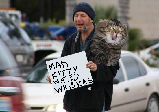 Фотожаба: Космобомж