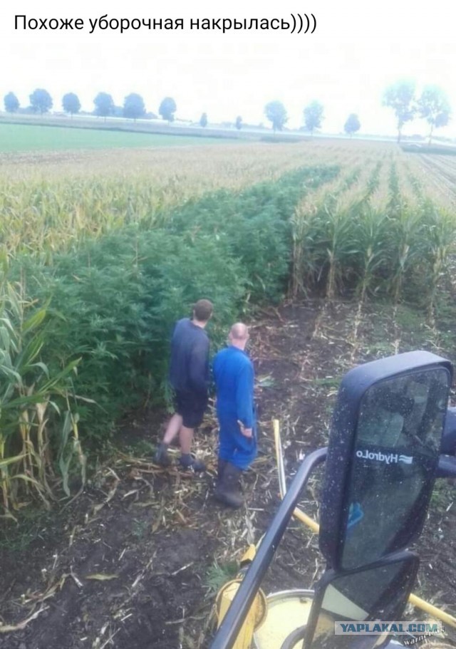 Бредзона 09.08.20