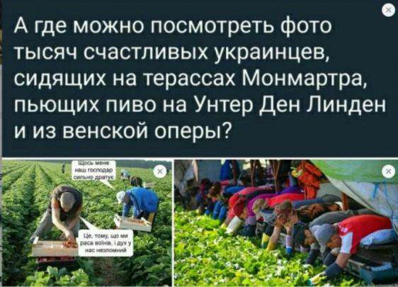 Северный Крым остался без воды вслед за центральным и южным