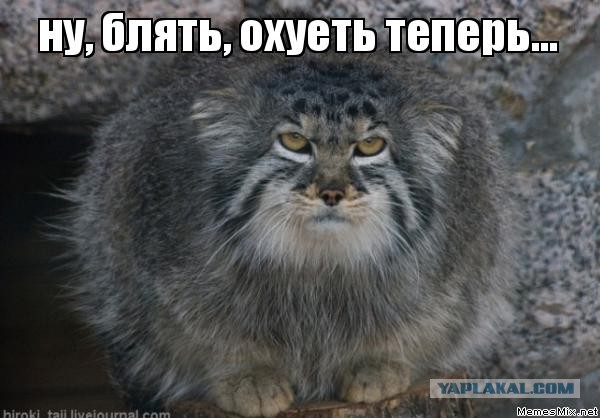 Почему мы не даём?