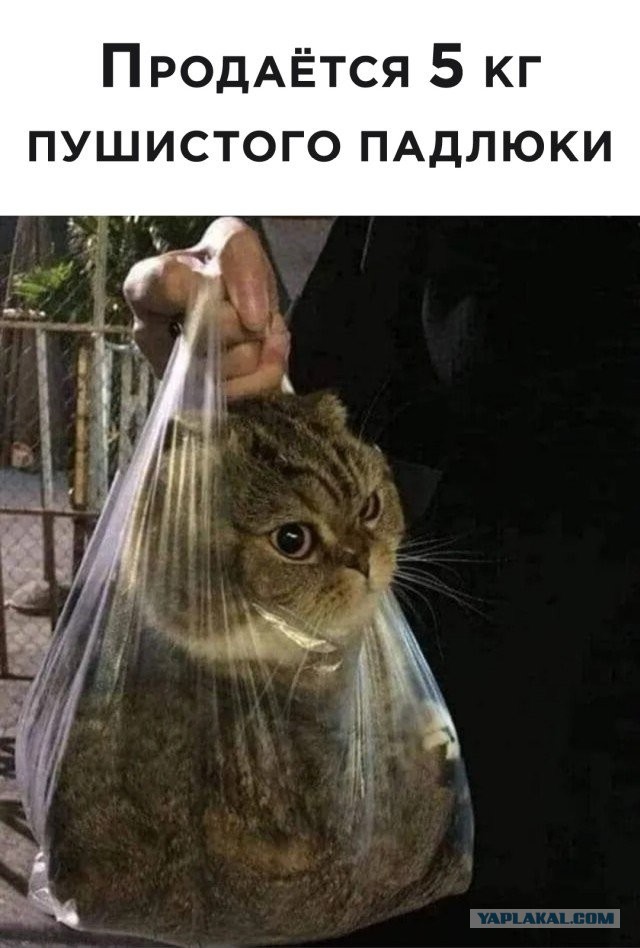 Картинки с надписями и всякие жизненные фразы