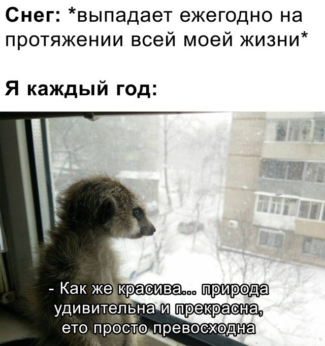 Картинки и мемы для настроения 027