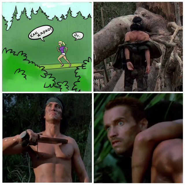 Закон- тайга, медведь за прокурора!