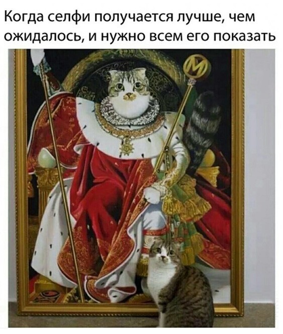 Картинки и мемы для настроения
