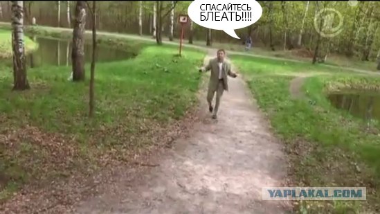 100% способ самозащиты