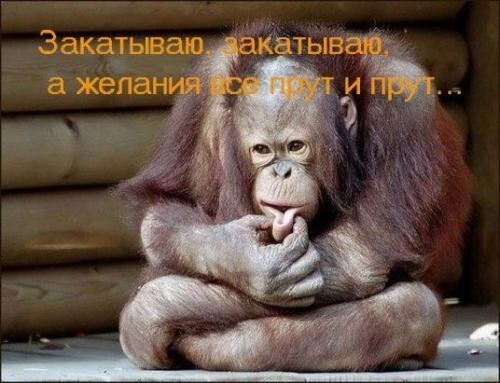 Алкопост выходного дня