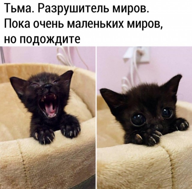 Маленькое зло