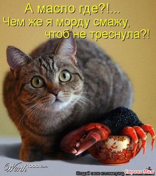Когда это все закончится: в России задумались о «налоге на смерть»