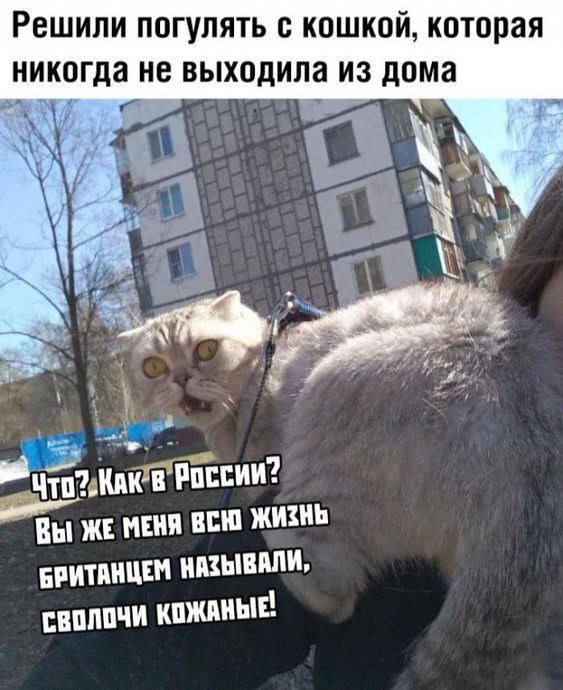 Так себе картинки 28.08.21