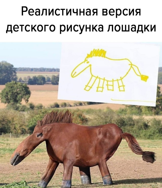 Первый мой рисунок в паинте!