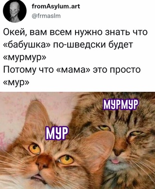 Картинки и мемы для настроения  - 27