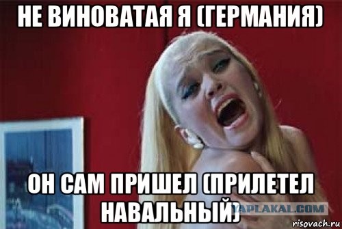 Правительство Германии ответило на вопросы об отравлении Алексея Навального