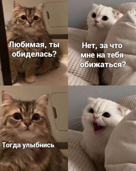 Картинки и мемы для настроения  -  9