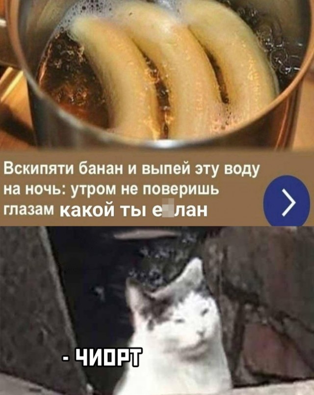 Картинки и мемы для настроения - 14