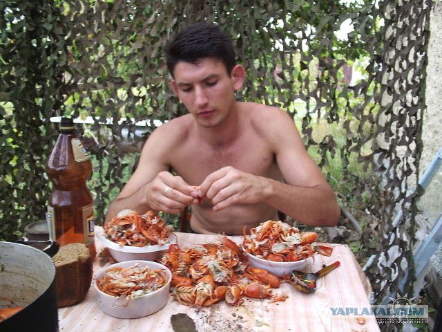 В погоне за раками