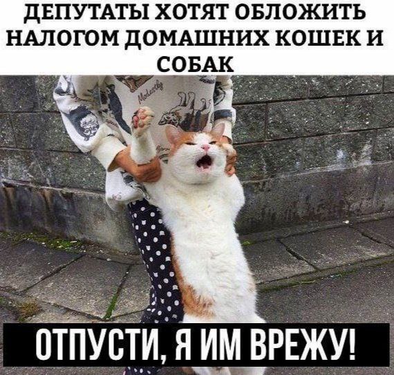 Деградация лайт 13.10.2022