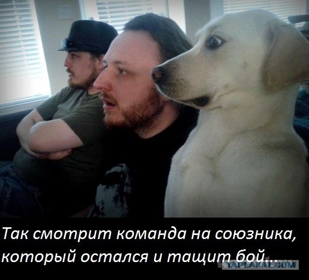 Wargaming 2