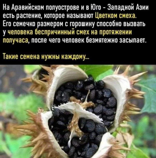 Картинки и мемы, всем хороших выходных