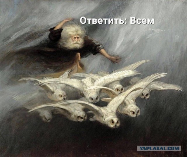 Весёлый полтишок 11.08.23