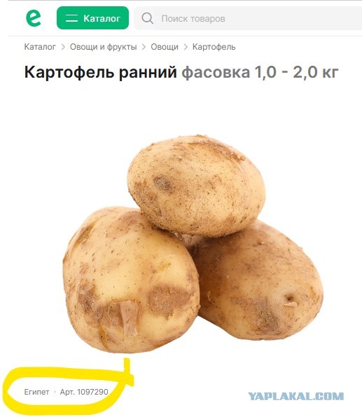 В Беларуси накопано более 195 тысяч тонн картофеля