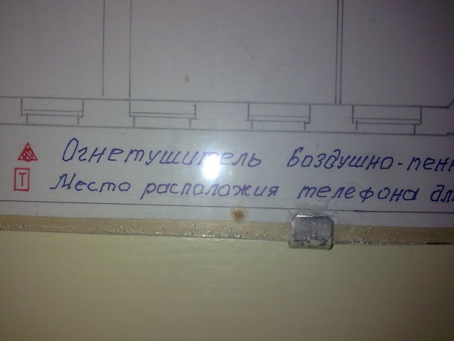 Перлы 02.11.23