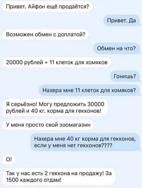 Весёлый полтишок 19.11.23