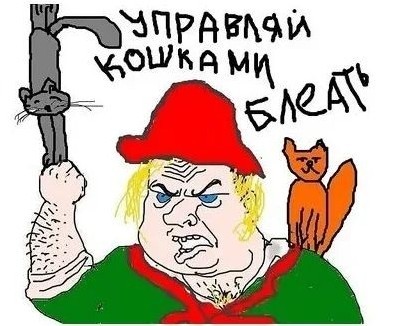 Вот как они выбирают себе любимого