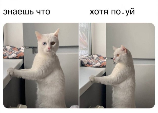 Так себе картинки 20.01.24