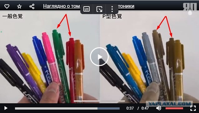 Наглядно о том, как видят дальтоники