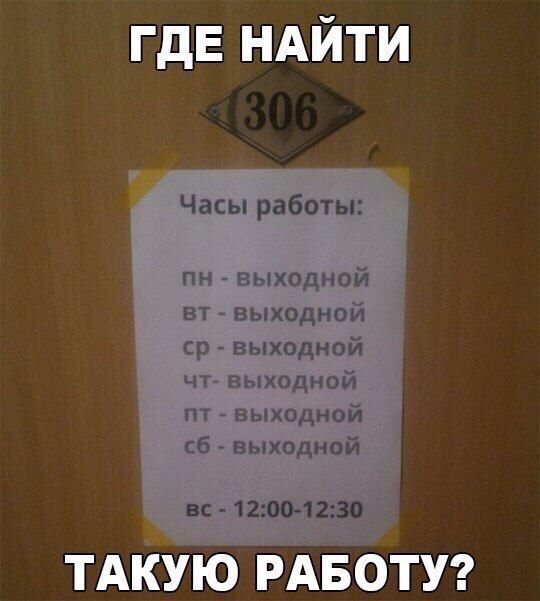 Работа мечты: так проходят дни сотрудников нацпарка Вирунга в Конго, которые ухаживают за осиротевшими детенышами горилл