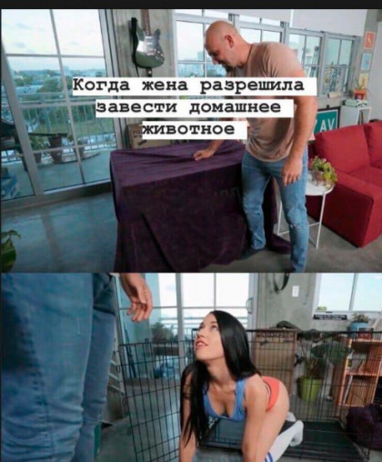 Пошлятина
